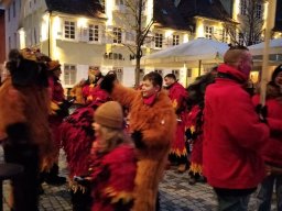 Umzug_Göppingen_07.01_2024_056